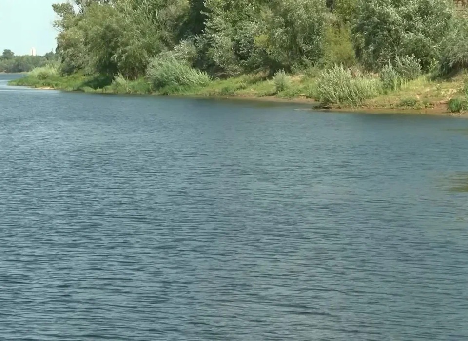 На берегу пруда под Волгоградом сестра обнаружила тело 44-летнего рыбака